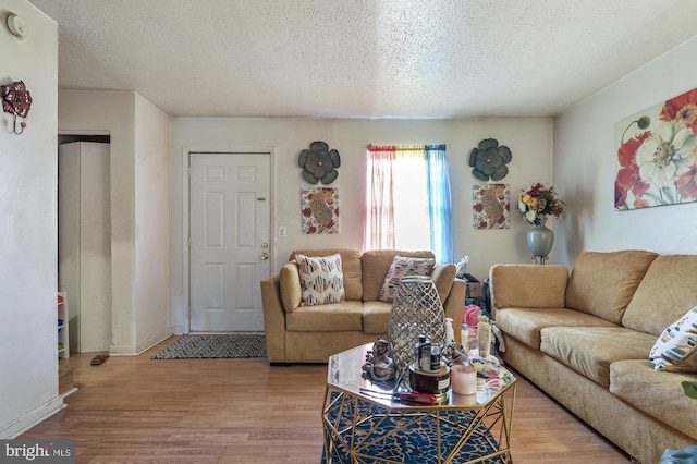 living room with light hardwood / wood-style flooring and a textured ceiling