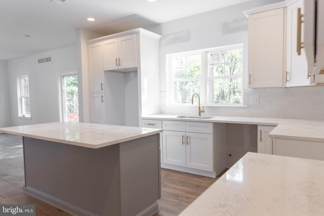 kitchen with light stone counters, hardwood / wood-style flooring, white cabinetry, and sink