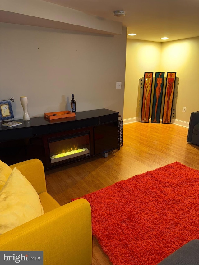 living room with wood-type flooring