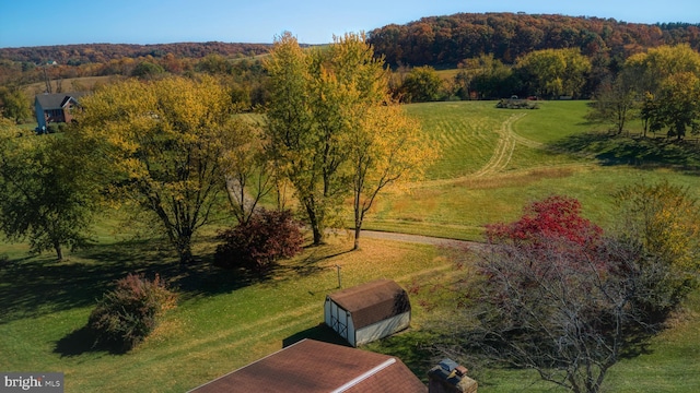 bird's eye view