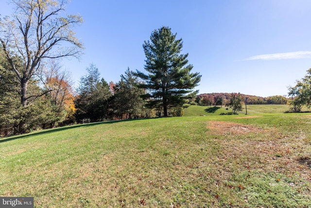 view of yard with a rural view