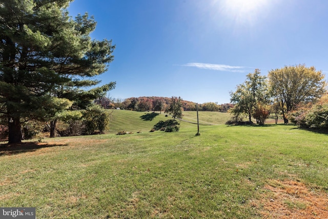 view of yard featuring a rural view