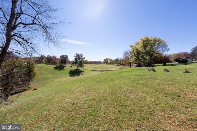 view of yard featuring a rural view