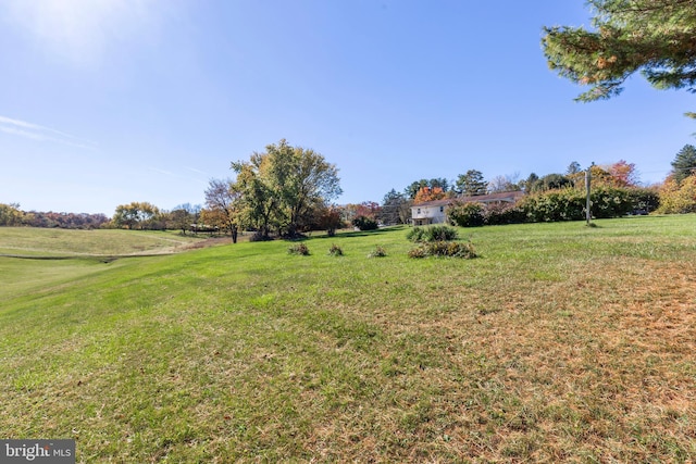 view of yard featuring a rural view