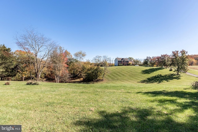 view of yard with a rural view