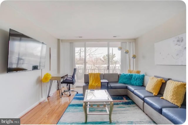 living room with wood-type flooring