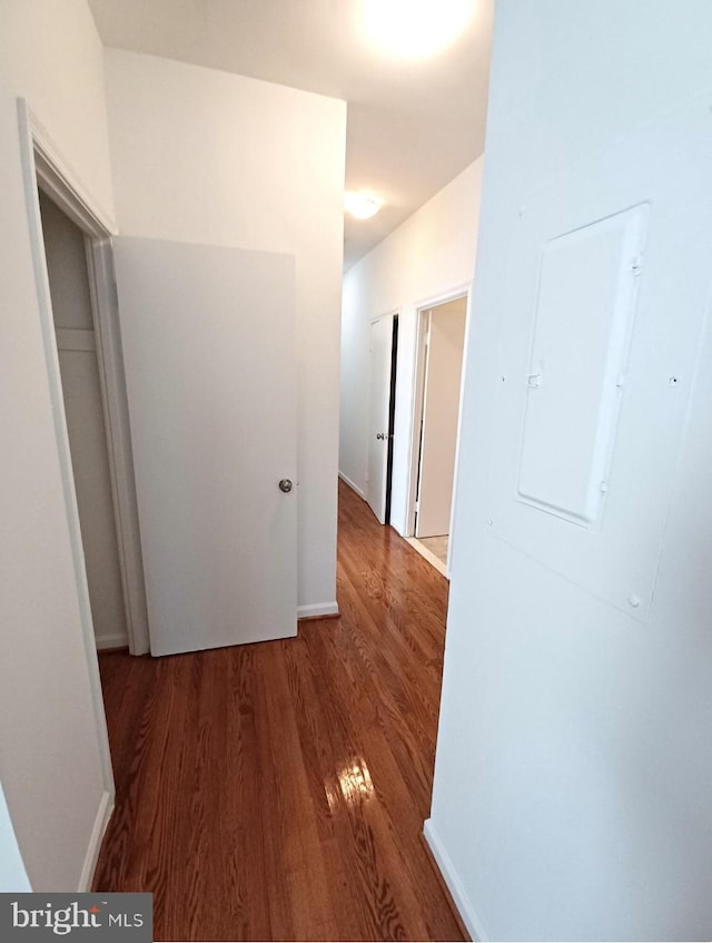 hallway with electric panel and hardwood / wood-style flooring