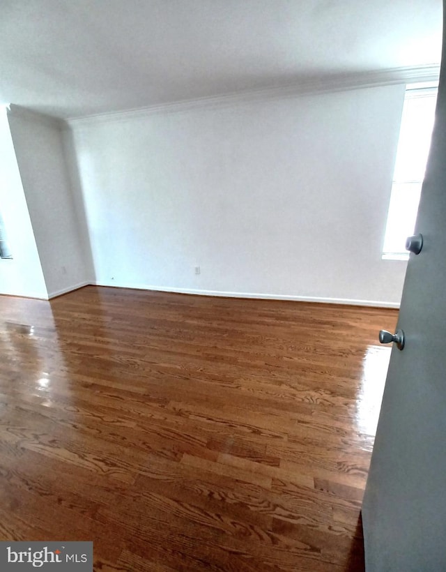 spare room with dark wood-type flooring and ornamental molding