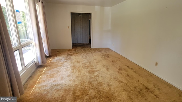 empty room featuring light carpet and a healthy amount of sunlight