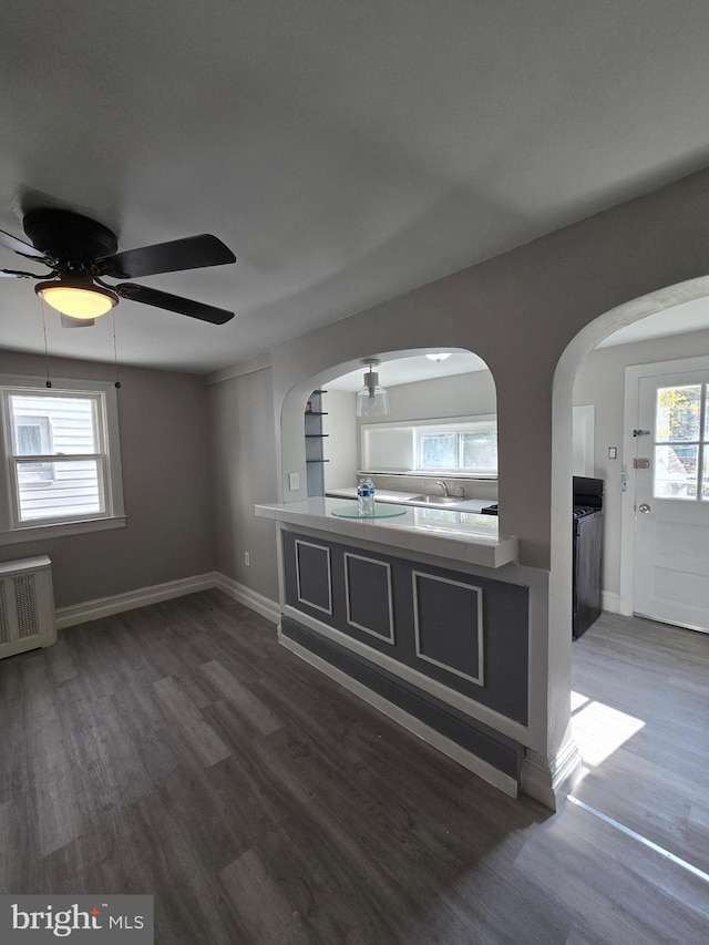 interior space featuring radiator, ceiling fan, dark hardwood / wood-style flooring, and sink