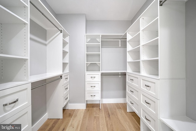 walk in closet with light wood-type flooring