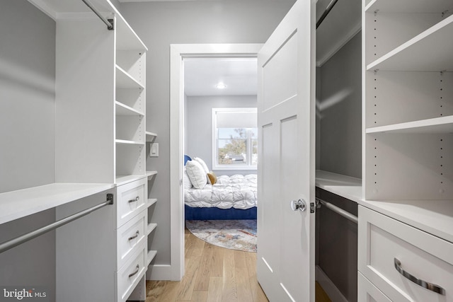 spacious closet featuring light hardwood / wood-style floors