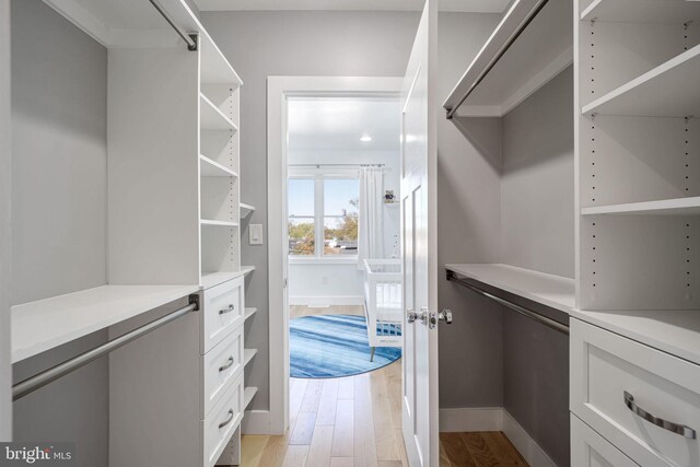 spacious closet with light hardwood / wood-style flooring