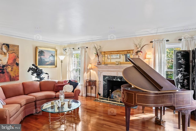 interior space with ornamental molding, a fireplace, wood-type flooring, and plenty of natural light