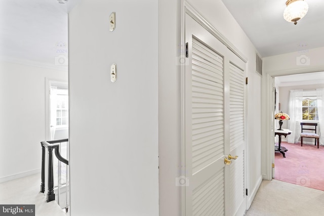 corridor with crown molding and light colored carpet