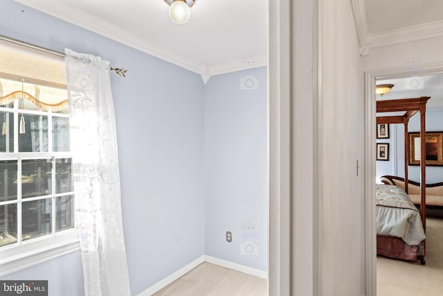 interior space with light carpet, crown molding, and plenty of natural light