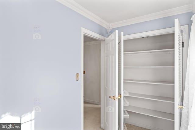 view of closet