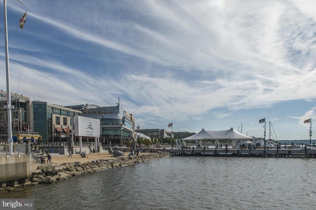 143 Waterfront St Unit 502, National Harbor, MD 20745 - water view
