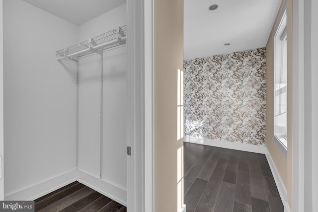 walk in closet with hardwood / wood-style flooring