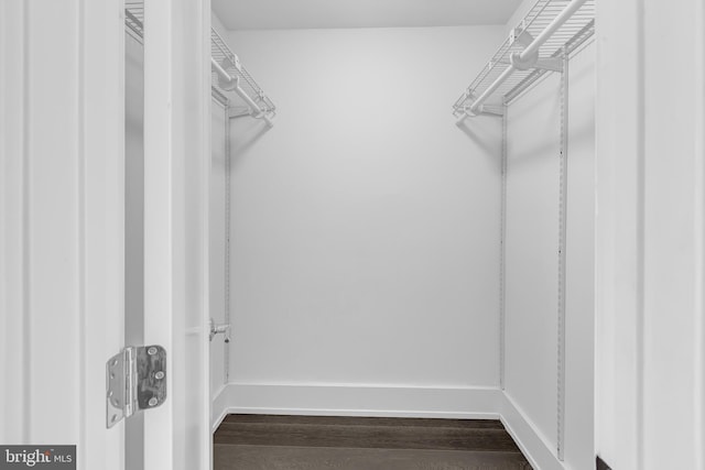 walk in closet with dark wood-style flooring