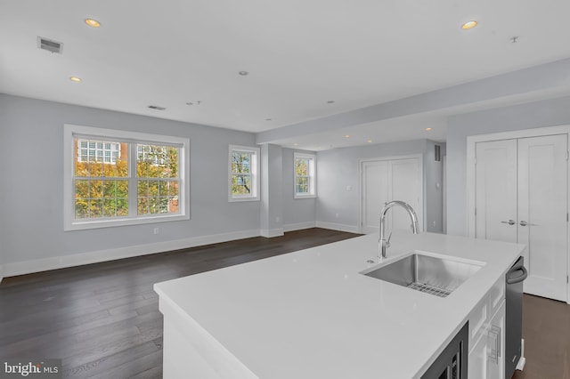 kitchen featuring sink, a center island with sink, and dark hardwood / wood-style flooring