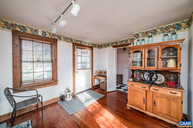 dining room with track lighting and dark hardwood / wood-style floors