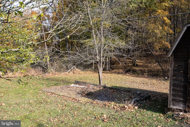 30 Sunset Ln, Catawissa, PA 17820 - view of yard