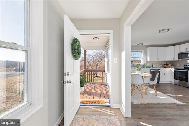 doorway featuring a healthy amount of sunlight and wood-type flooring