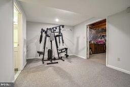 exercise room featuring light carpet