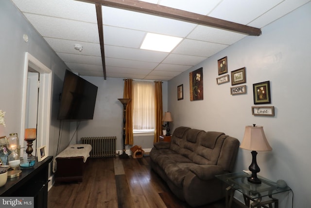 living room with radiator, a drop ceiling, and dark hardwood / wood-style floors