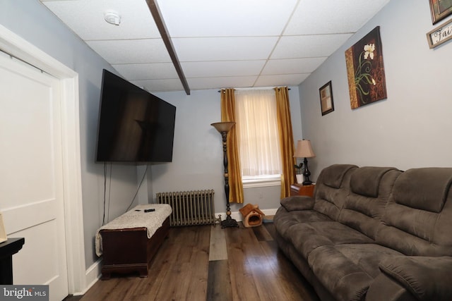 living room with a drop ceiling, wood-type flooring, and radiator