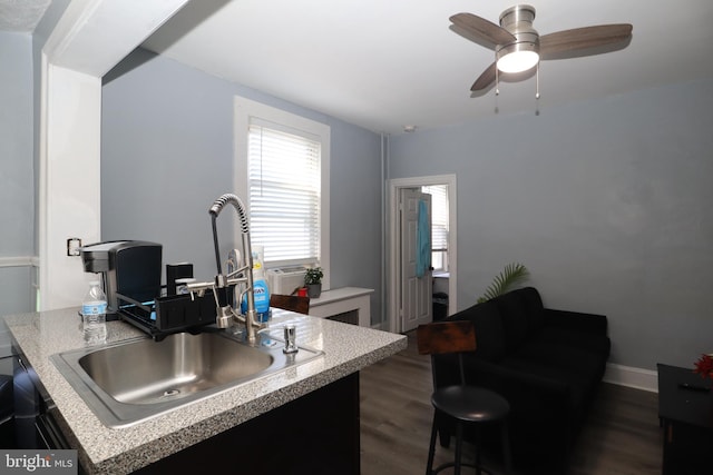 kitchen featuring sink, dark wood-type flooring, and ceiling fan