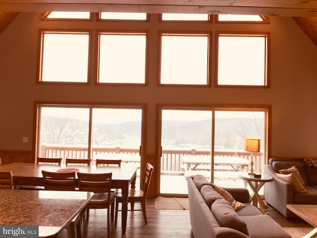 dining space with hardwood / wood-style flooring and a mountain view