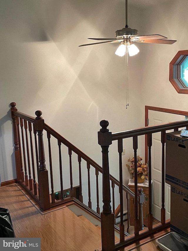 staircase with hardwood / wood-style floors