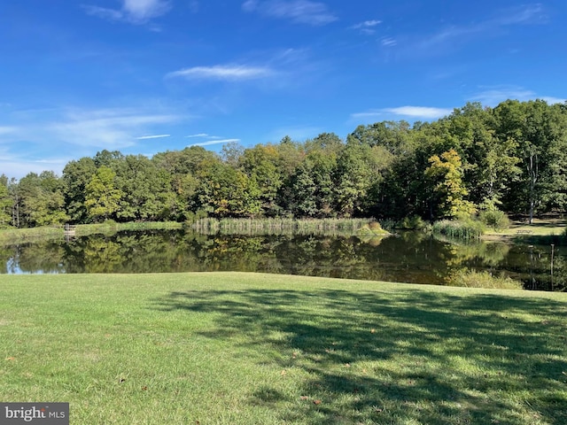 view of yard featuring a water view