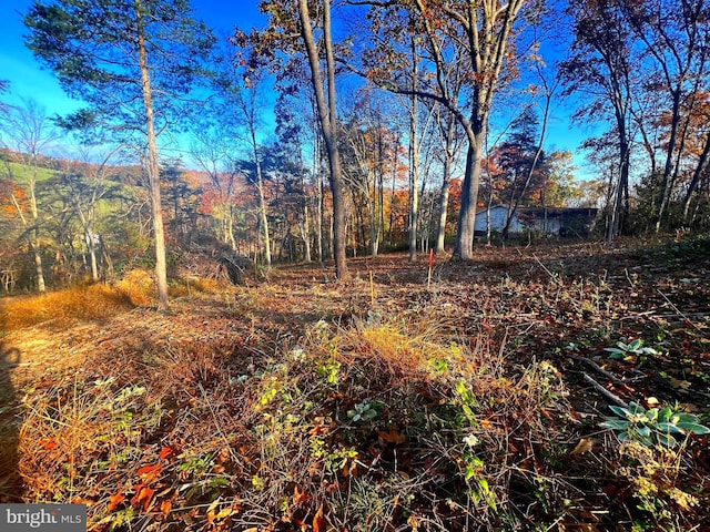 Listing photo 3 for LOT4/ Patterson Creek Rd, Keyser WV 26726