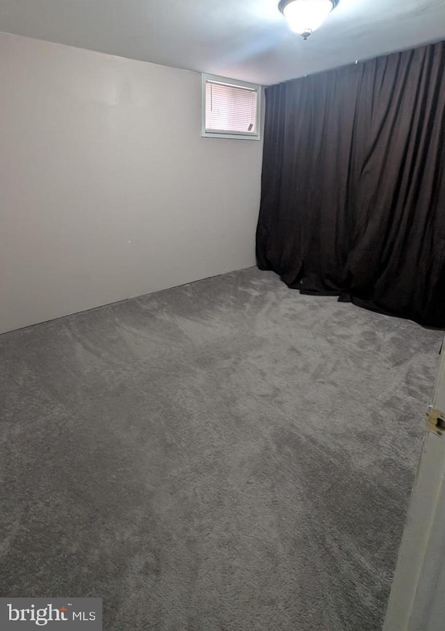 basement with carpet floors