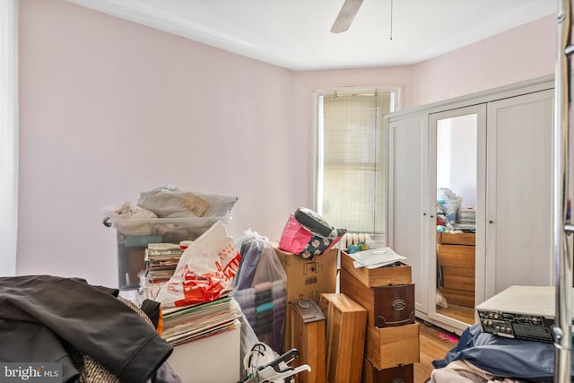 miscellaneous room with hardwood / wood-style floors and ceiling fan