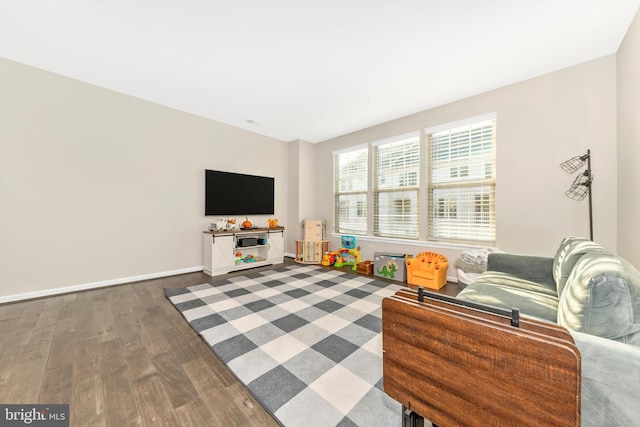 living room featuring dark wood-type flooring