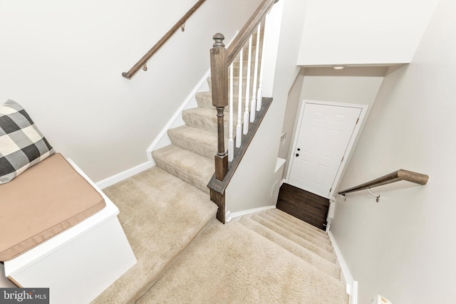 staircase featuring carpet floors