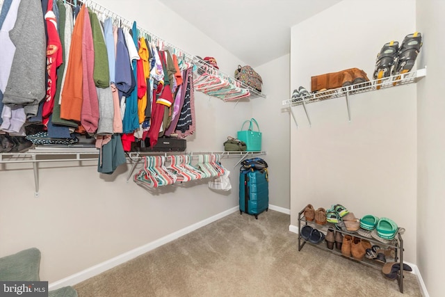 walk in closet featuring light colored carpet