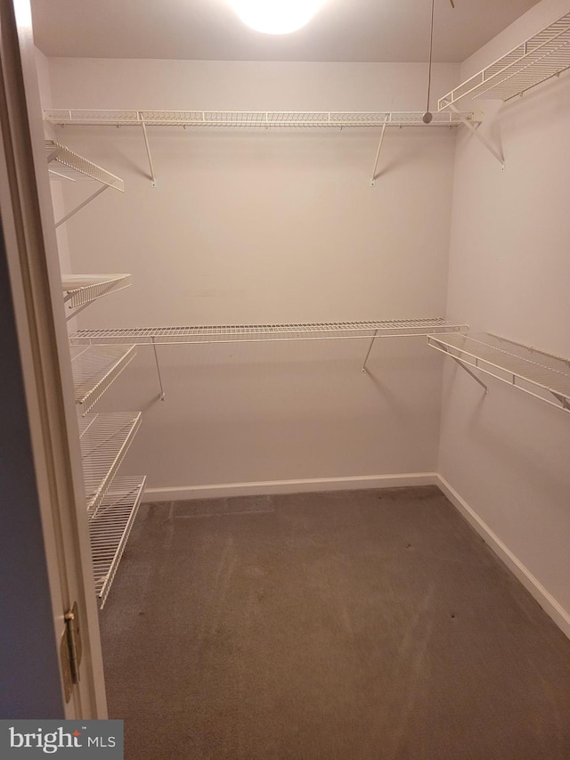 walk in closet featuring dark carpet