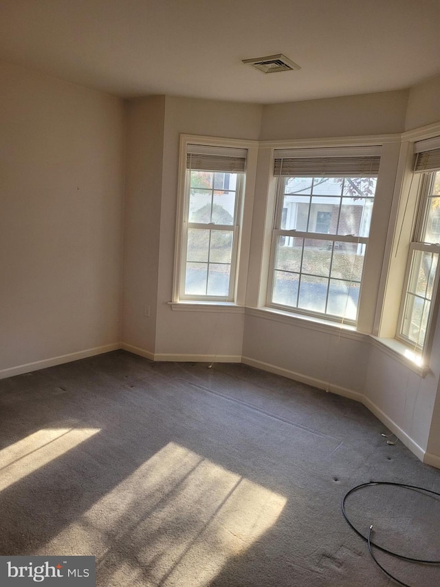 view of carpeted spare room