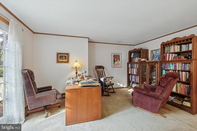 home office with ornamental molding and light colored carpet