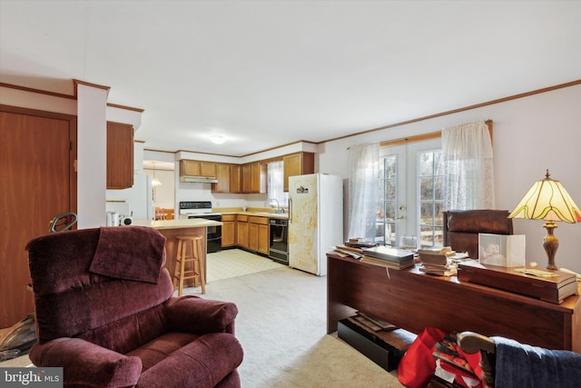 interior space featuring french doors, ornamental molding, and sink