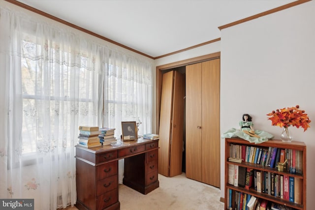 office space with a healthy amount of sunlight, ornamental molding, and light colored carpet