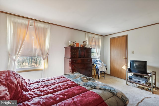 carpeted bedroom with crown molding