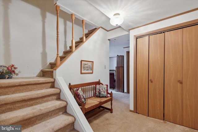 stairs with carpet floors