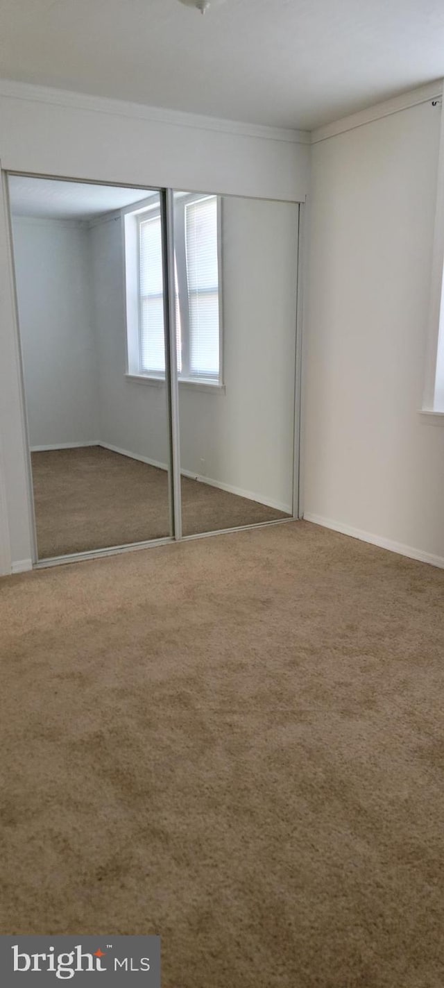 unfurnished bedroom featuring crown molding and carpet