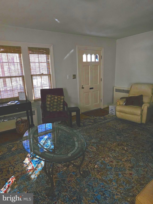 living room featuring radiator heating unit